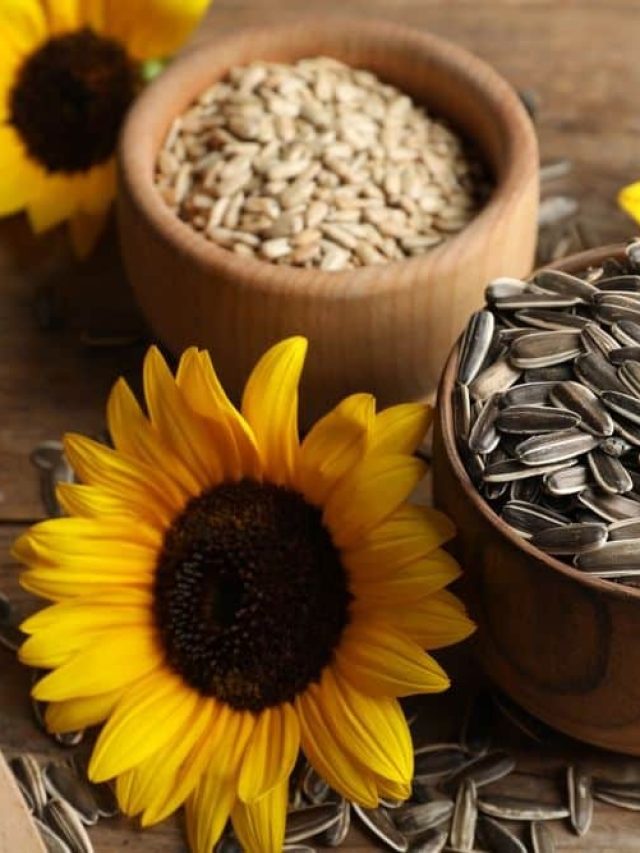 Sunflower-Seeds-for-Overall-Well